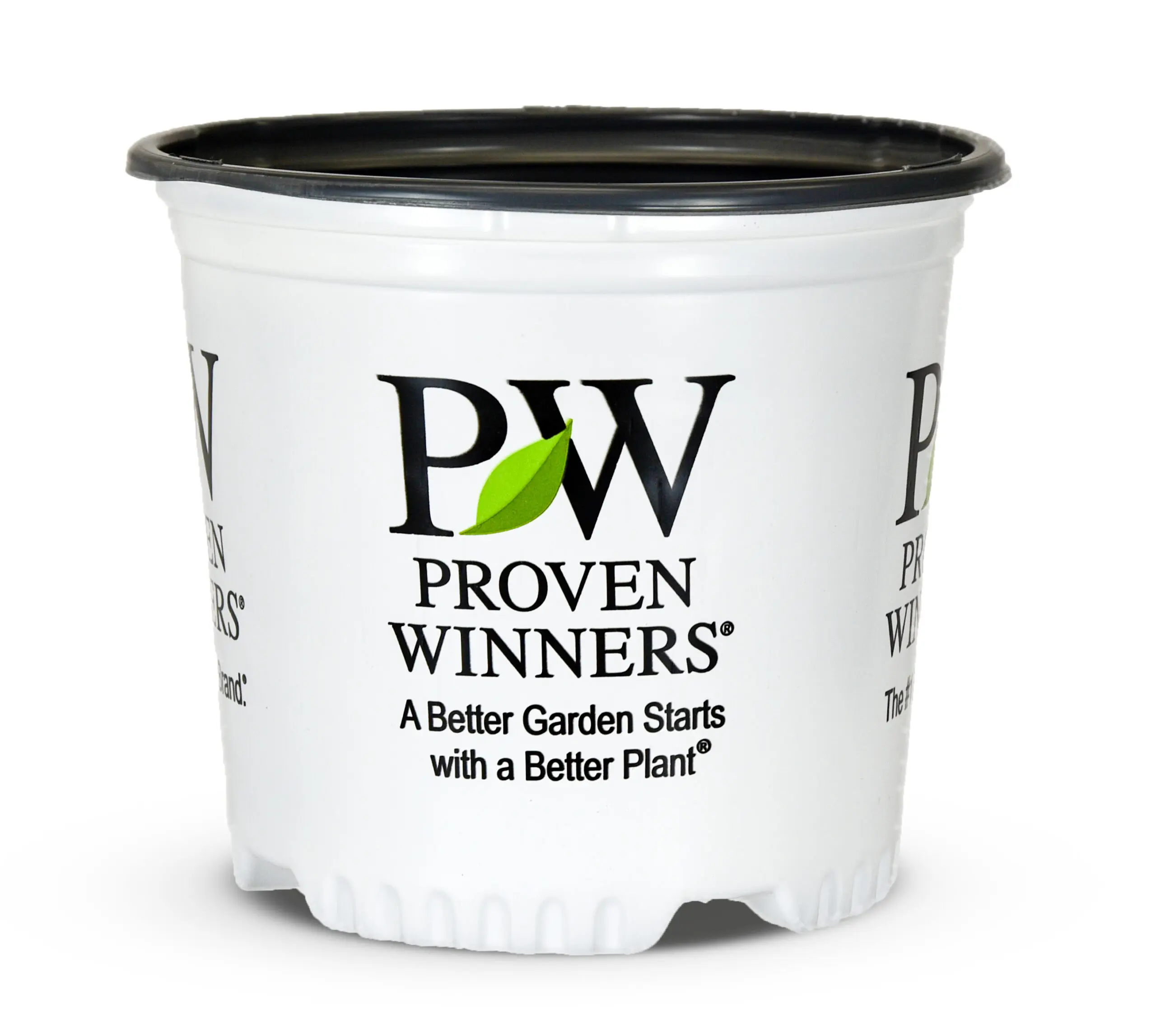ColorChoice-2-Gallon