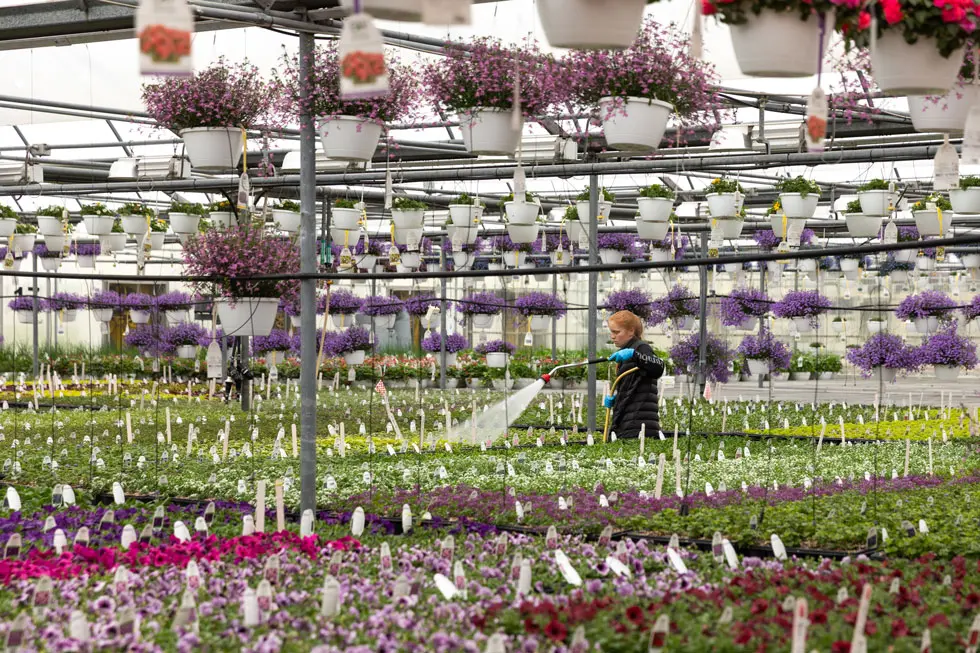Proven Winners Carleton Greenhouse